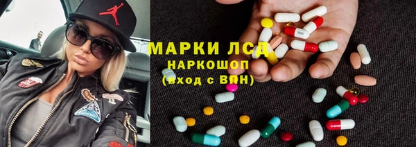 индика Пестово