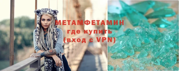 индика Пестово